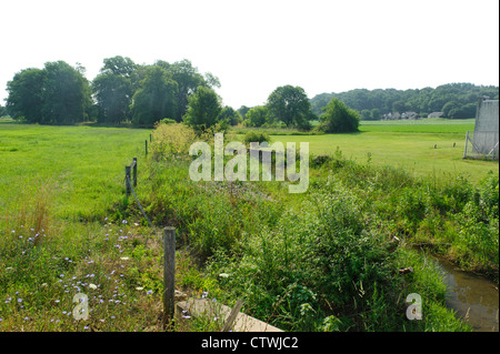 ANLIEGERSTAATEN PUFFER WACHSTUM UND STREAM SEITE FECHTEN AN UFERN DES SWARR LAUFEN LANCASTER, PENNSYLVANIA Stockfoto