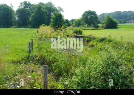 ANLIEGERSTAATEN PUFFER WACHSTUM UND STREAM SEITE FECHTEN AN UFERN DES SWARR LAUFEN LANCASTER, PENNSYLVANIA Stockfoto