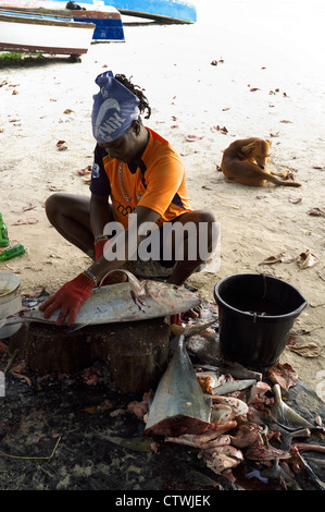 Lokale Fischer vorbereiten und Ausnehmen von frischem Fisch am Strand mit einem hölzernen Block und einem kleinen Messer, Seychellen, Indischer Ozean Stockfoto