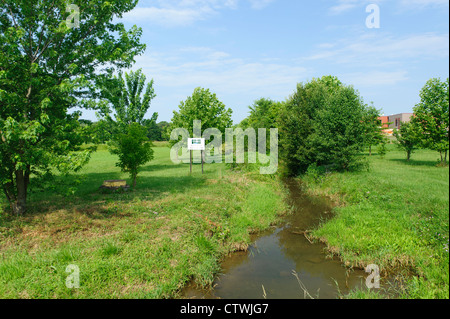 ANLIEGERSTAATEN PUFFER WACHSTUM AN UFERN DES SWARR LAUFEN LANCASTER, PENNSYLVANIA Stockfoto