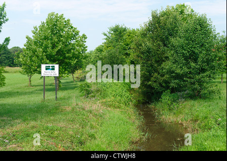 ANLIEGERSTAATEN PUFFER WACHSTUM AN UFERN DES SWARR LAUFEN LANCASTER, PENNSYLVANIA Stockfoto