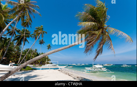 einzige Palme an einem philippinischen Strand Stockfoto