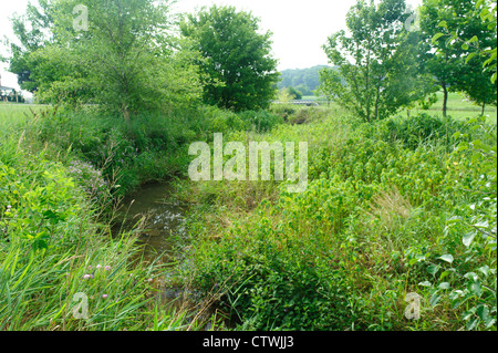 ANLIEGERSTAATEN PUFFER WACHSTUM UND STREAM SEITE FECHTEN AN UFERN DES SWARR LAUFEN LANCASTER, PENNSYLVANIA Stockfoto