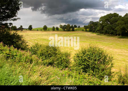 Blick nach Norden in Richtung Nantwich, von den Ufern des Shropshire Union Canal in der Nähe von Audlem. Stockfoto