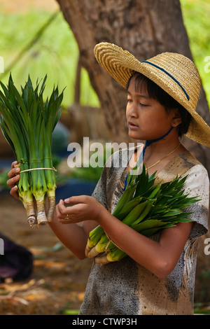 Eine junge Frau, Verkauf von Pflanzen auf dem YWAMA Markt auf dem Weg nach INDEIN - INLE-See, MYANMAR Stockfoto