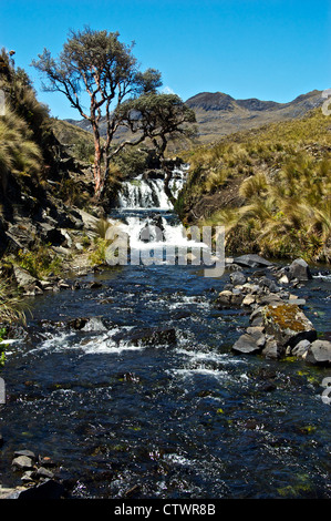 Wunderschöne Landschaft des Parque Cajas, Ecuador. Stockfoto