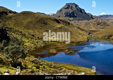 Wunderschöne Landschaft des Parque Cajas, Ecuador. Stockfoto