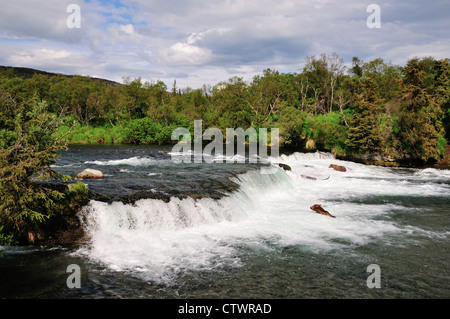 Angeln an den Brooks Falls Braunbären. Katmai Nationalpark und Reservat. Alaska, USA. Stockfoto