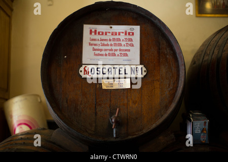 Traditionelle Meeresfrüchte Tapas und Wein-bar Malaga Spanien Stockfoto