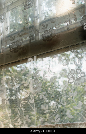 Ein Spitzevorhang vor einem Fenster nach draußen. Stockfoto