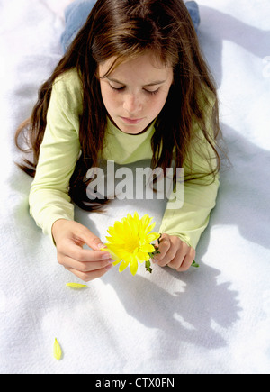 Ein junges Mädchen, die Blütenblätter von einer Blume zu pflücken. Stockfoto