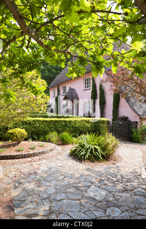 Ein typisches Reetgedeckten West Country Cottage im Dorf Cockington, Devon UK Stockfoto