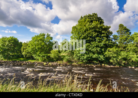 Des Flusses Tees aus der Pennine Way in den North Pennines Gebiet von außergewöhnlicher natürlicher Schönheit, Teesdale, County Durham, England Stockfoto