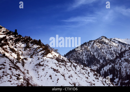 Berge mit Schnee und Wälder bedeckt Stockfoto