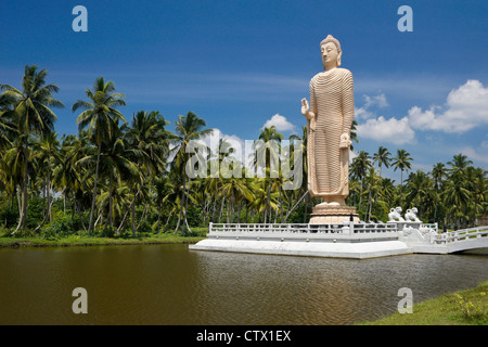 Tsunami-Honganji Vihara-Denkmal, Peraliya, Sri Lanka Stockfoto