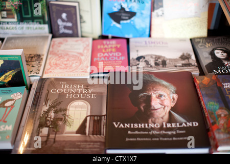 Gewundene Treppe Buchhandlung Dublin Irland Stockfoto
