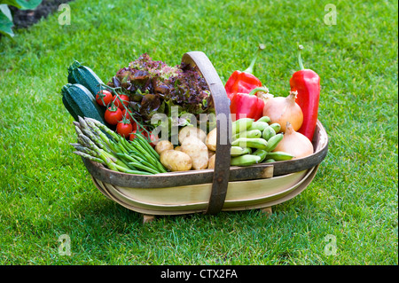 frisch geerntete Heimat britische Gemüse in einem hölzernen Trug auf einer Wiese im Garten Stockfoto