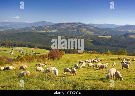 Landschaftspark Schlesischen Beskiden, Polen, Europa Stockfoto