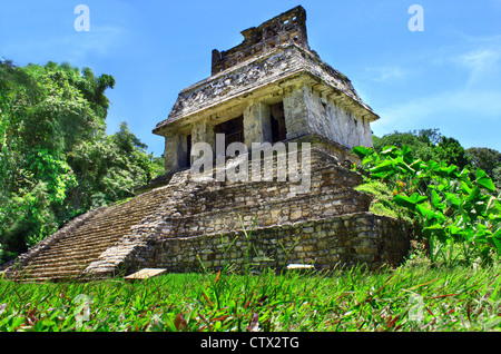 Palenque Maya Ruinen Monumente Chiapas-Mexiko Stockfoto