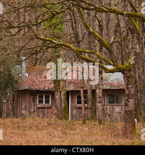 Einem alten verlassenen Schuppen im Loire-Tal, Frankreich. Stockfoto