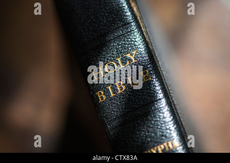 Heilige Bibel Stockfoto