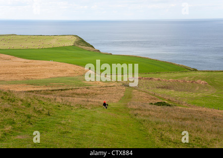 Ein Wanderer mit Hunden auf dem Cleveland Weg Fuß zwischen Staithes und Port Mulgrave. Stockfoto