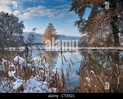 RIVER WEY Winterschnee vom Flussufer und Schilf über den River Wey mit frischem Winterschnee Ripley Surrey England Großbritannien Stockfoto