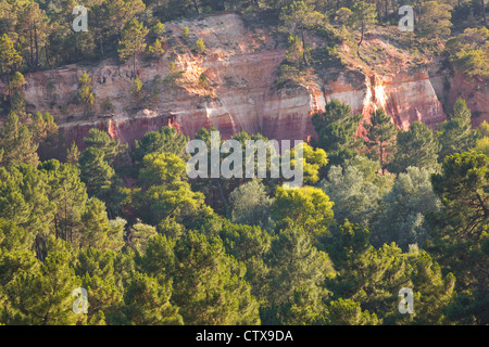 Die berühmten roten Klippen in der Nähe von Roussillon in der Provence. Stockfoto