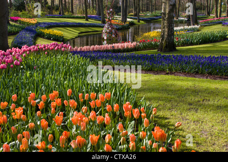 Frühlingsgartenlandschaft mit Tulpen, Muskari und Narzissen, die sich im See der Keukenhof Gardens, Südholland, Niederlande, widerspiegeln. Stockfoto