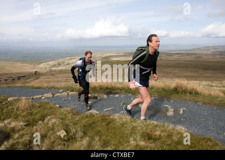 Konkurrenten in der Fellsman begegnen den Pfad bis Ingleborough Stockfoto