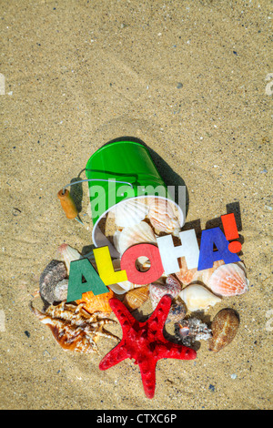 Word "Aloha" with starfish and shells background on the sand Stockfoto