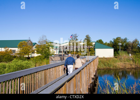 Besucher wandern ein Holzsteg durch Sumpfgebiet in der Nähe von Cameron Prairie National Wildlife Refuge Visitor Center, LA, USA Stockfoto