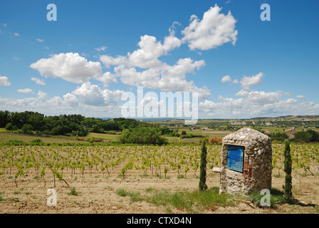 Ein trockener Stein gut Hütte auf einem Weingut in Séguret, Vaucluse, Provence, Frankreich. Stockfoto