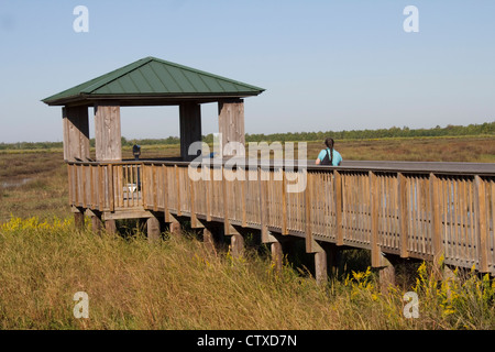 Promenade in der Nähe von Cameron Prairie National Wildlife Refuge Visitor Center, an der 180-Meile kreolische Naturlehrpfad/All-American-Straße Stockfoto