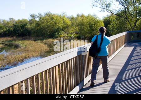 Promenade in der Nähe von Cameron Prairie National Wildlife Refuge Visitor Center, an der 180-Meile kreolische Naturlehrpfad/All-American-Straße Stockfoto