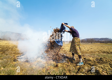 Alte landwirtschaftliche Frau brennendes Laub, Frühjahrsputz im Garten Stockfoto