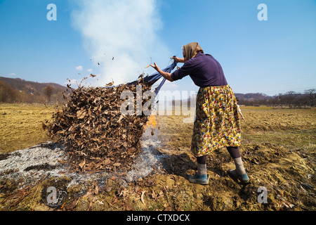 Alte landwirtschaftliche Frau brennendes Laub, Frühjahrsputz im Garten Stockfoto