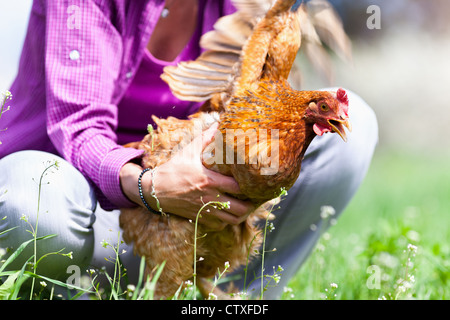 Frau Fang ein Huhn im Freien auf dem Lande Stockfoto