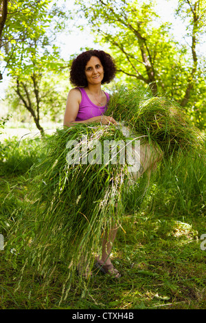 Junge Dame häufen sich frisch gemähten Rasen als Futter für Tiere Stockfoto