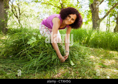 Junge Dame häufen sich frisch gemähten Rasen als Futter für Tiere Stockfoto