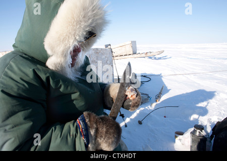 Inuit jagen am Nordpol Stockfoto