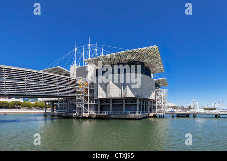 Lissabonner Ozeanarium, das zweitgrößte Ozeanarium in der Welt und der größte in Europa. Lissabon, Portugal. Stockfoto