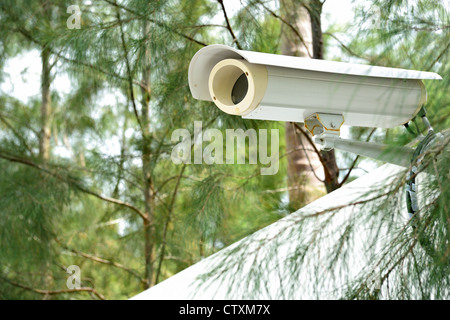 Überwachungskamera auf dem Zaun neben den Dschungel Stockfoto