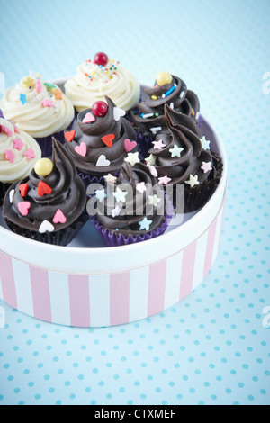 Cupcake-Geschenk-Paket Stockfoto