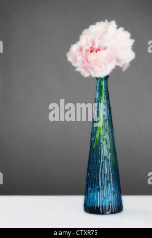 Schöne blass rosa Pfingstrose Blumen in einer blauen Kristallvase über dramatische grauen Hintergrund mit Raum-Orton Kopiereffekt. Stockfoto