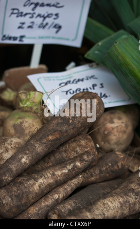 Aus biologischem Anbau, Outdoor-Anzeige der lokalen Gemüse wie frisch geerntet, Bio Pastinaken und Steckrüben, Devon, UK Stockfoto