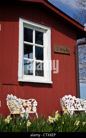 Vintage-Fenster, Frühlings-Daffodil, zwei viktorianische Stühle und ein kleiner knallroter, farbenfroher Holzwerkzeugschuppen außen, Monroe Twp., New Jersey Farm, USA pt Stockfoto