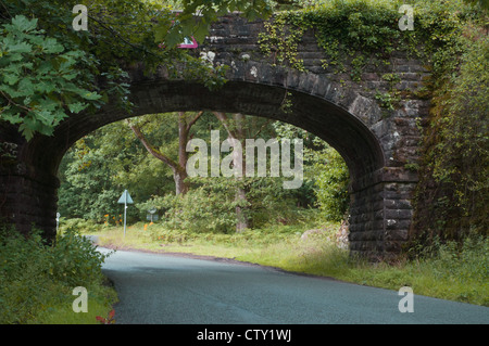 stillgelegten Eisenbahnbrücke in Wald-Einstellung Stockfoto