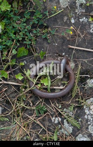 alten Eisenring inmitten einer Steinplatte, Liegeplatz Ringfor Boote Stockfoto