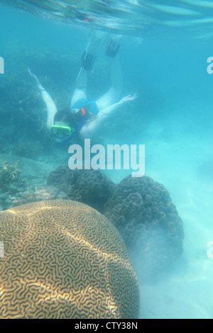 Unterwasser, Indonesien, Java Korallenmeer, Kepulauan Seribu Schnorcheln Pulau Seribu, Thousand Islands Stockfoto